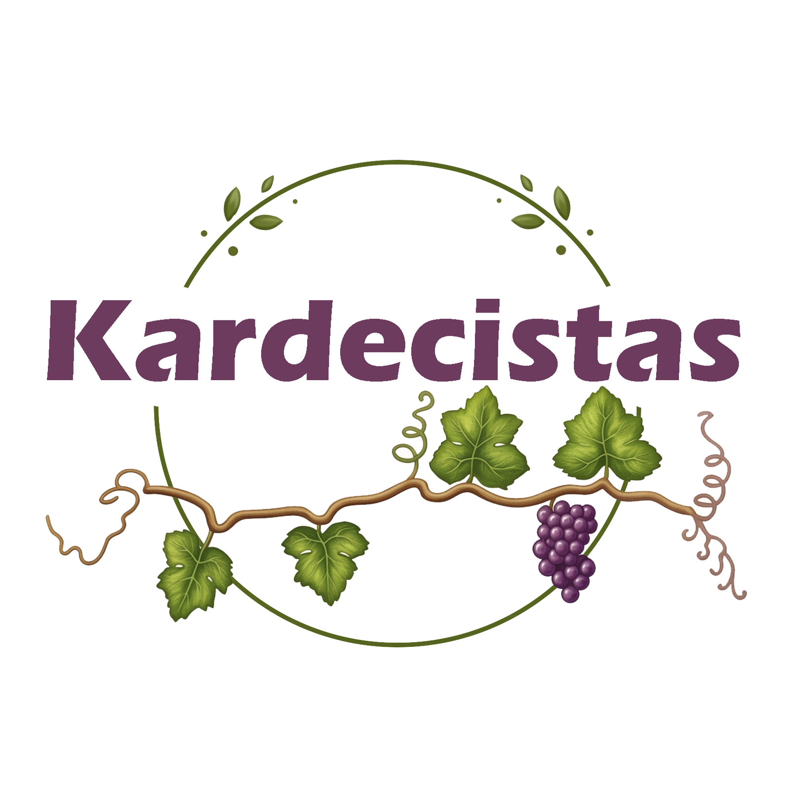 Kardecistas